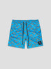 Heavy Hitters Shorts